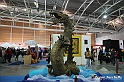 VBS_4500 - Festival dell'Oriente 2022